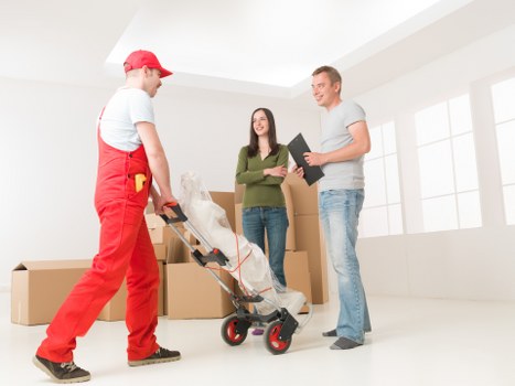 Professional packing and protective wrapping for fragile items