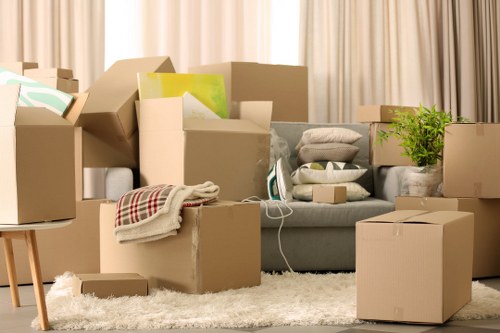 Boxes and household items arranged in a flexible storage setting